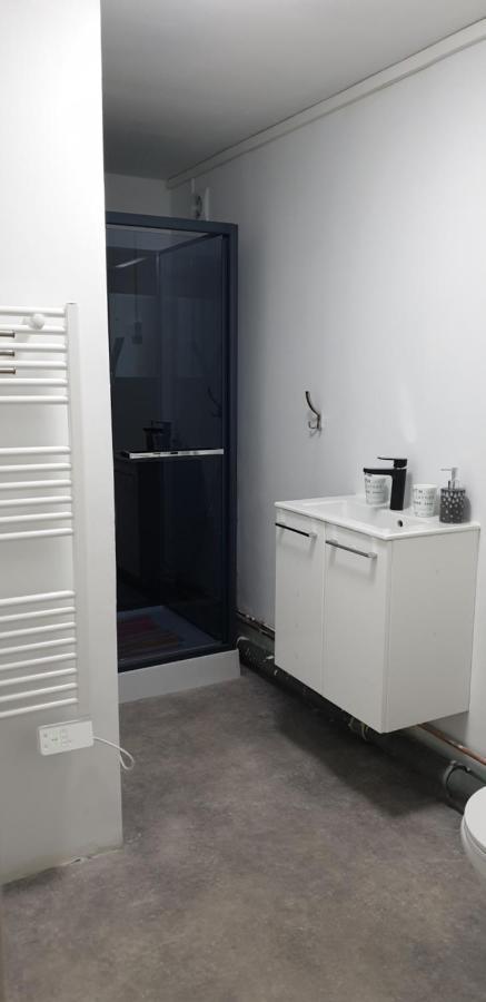 Studio, Chambres, Appartement, Gite Vendegies-sur-Ecaillon Eksteriør billede